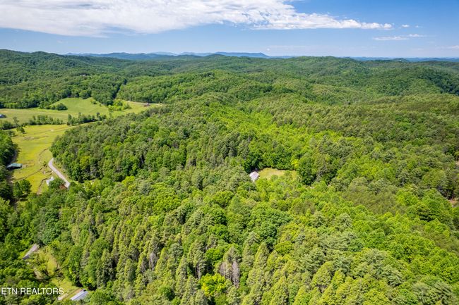 000 Cane Creek Mountain Rd, Home with 0 bedrooms, 0 bathrooms and null parking in Tellico Plains TN | Image 22