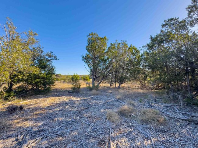 Lot 44 Mountain Laurel Lane, Home with 0 bedrooms, 0 bathrooms and null parking in Spicewood TX | Image 18