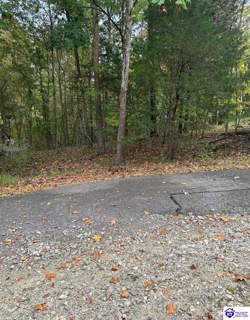 971 Penny Royal Ln, Brandenburg, KY, 40108 | Card Image
