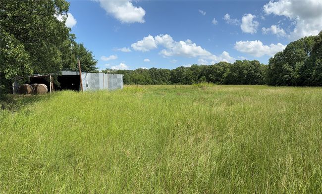 View of yard with a forest view | Image 12