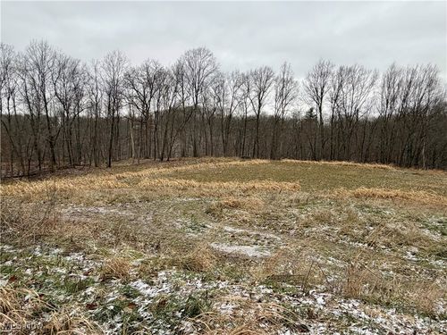 0 Sealover Hollow Rd, Philo, OH, 43771 | Card Image