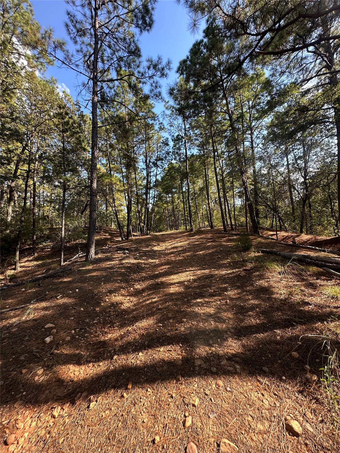 Land in Bastrop 3