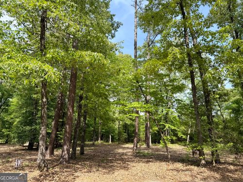 lot-6-0 Deer Creek Trail, Dublin, GA, 31021 | Card Image