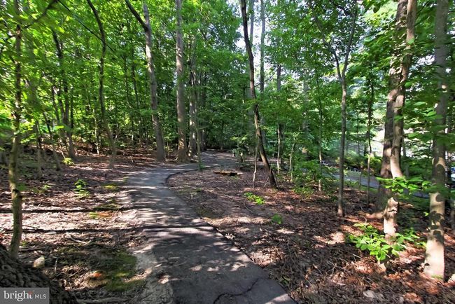 APT-101 - 5823 Cove Landing Rd, Condo with 1 bedrooms, 1 bathrooms and null parking in BURKE VA | Image 33