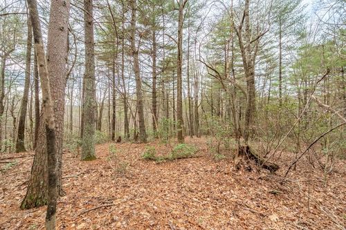 000 Kermit Hollow, Ferrum, VA, 24088 | Card Image