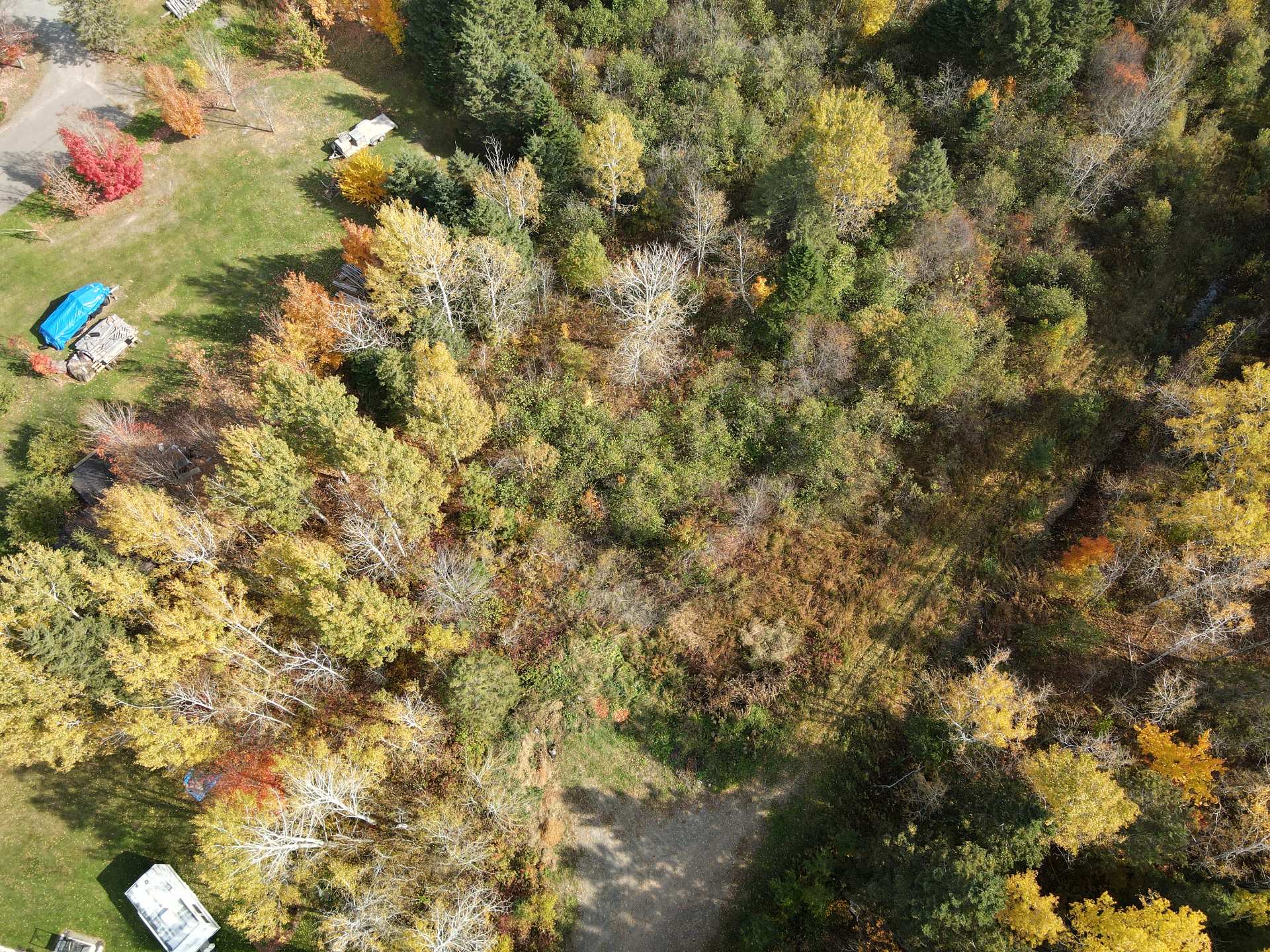 Land in Saint-Gabriel-Lalemant 5