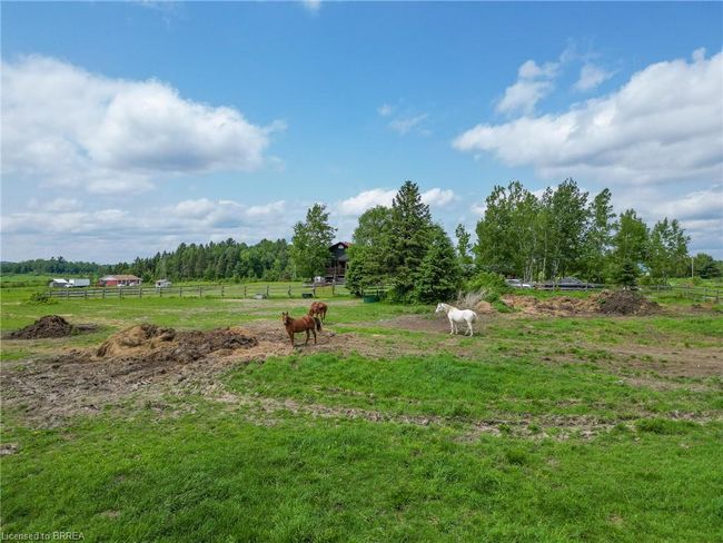 564 Adams Rd, House other with 3 bedrooms, 1 bathrooms and 17 parking in Mattawa ON | Image 8