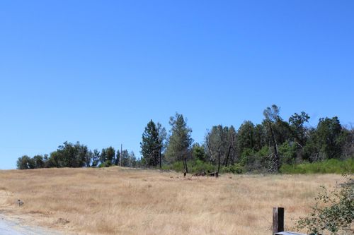 3600 Lou Allen Lane, Cool, CA, 95614 | Card Image