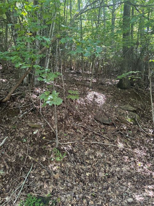 187-000 Wild Cherry Dr, Mills River, NC, 28759 | Card Image