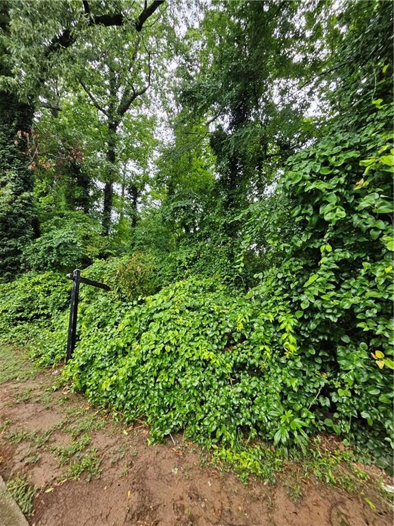 Land in Decatur