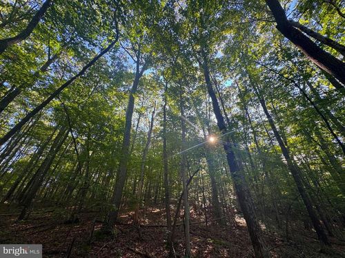 Tract 2 S Teter Creek Road, Belington, WV, 26250 | Card Image