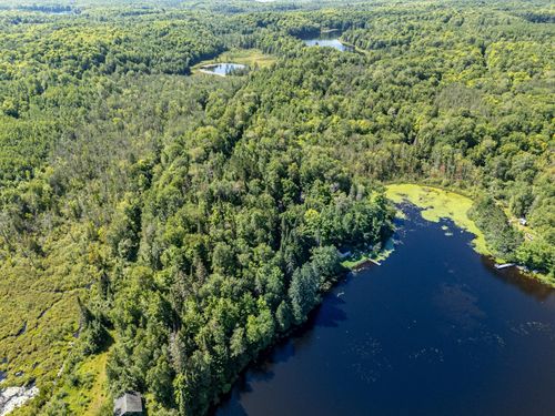 ON Chaney Lake Rd, Bessemer Twp, MI, 49911 | Card Image