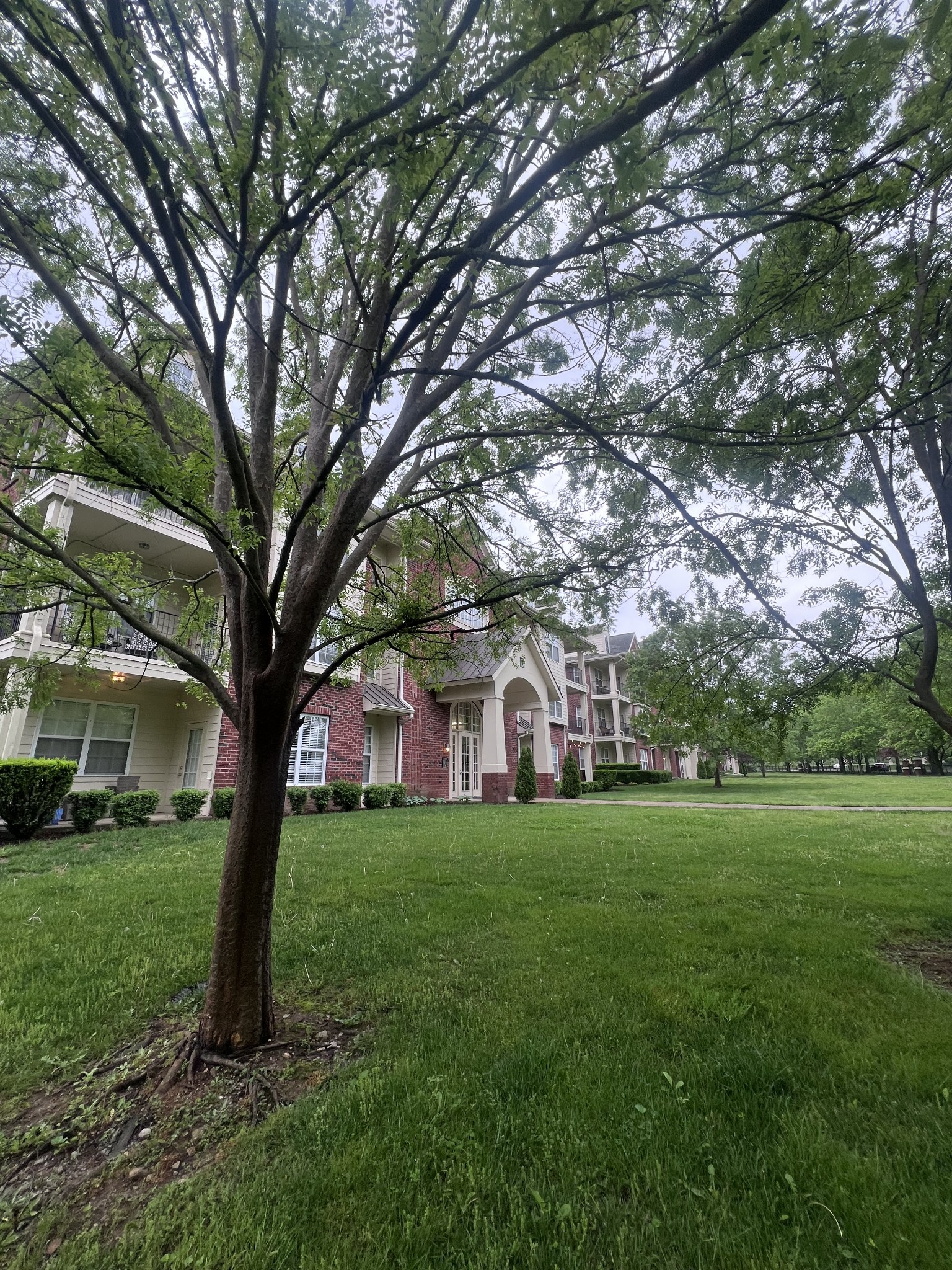 Residential in Franklin 3
