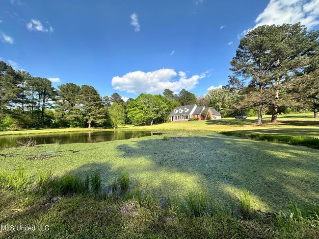 House | Image 7