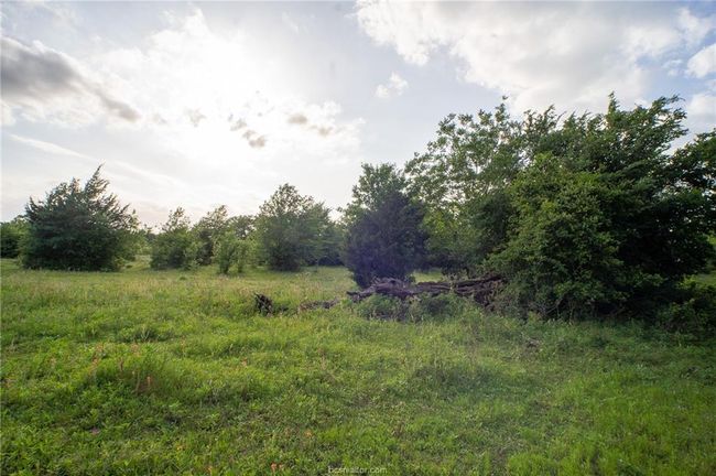 View of nature | Image 7