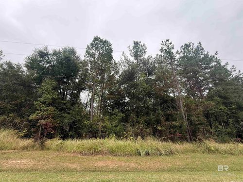0 Cloverleaf Landing Rd, Bay Minette, AL, 36507 | Card Image