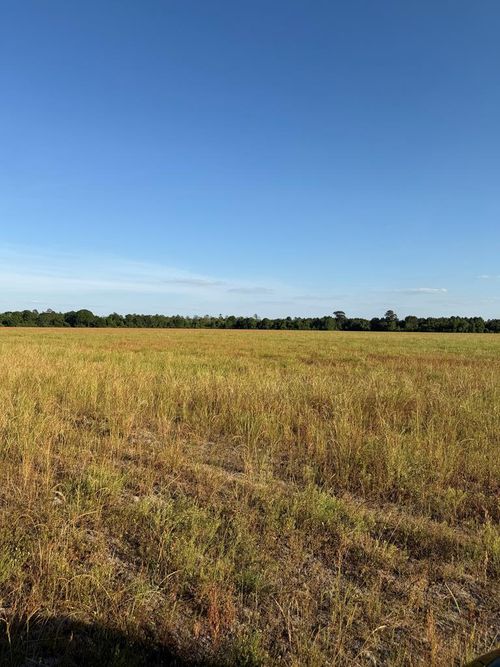 0 Us Highway 129, Alapaha, GA, 31622 | Card Image