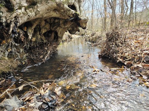 0 Coxburg Rd N, Holladay, TN, 38341 | Card Image