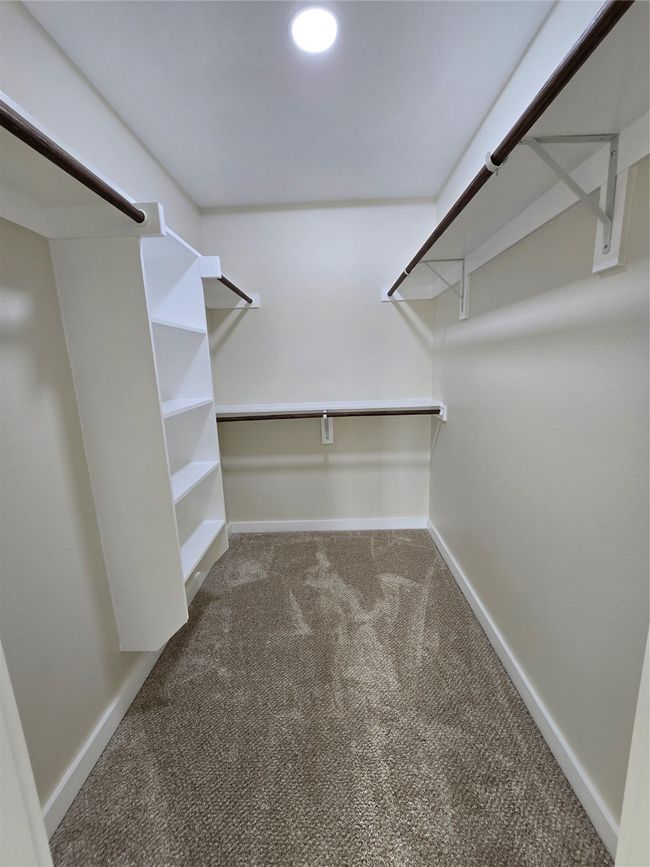 Walk in closet featuring carpet | Image 23