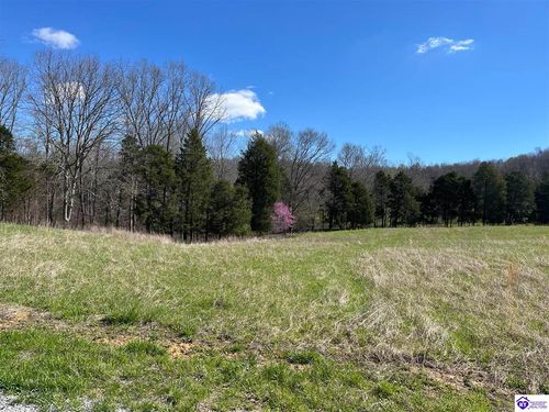 123456789 Ponderosa Drive, Clarkson, KY, 42726 | Card Image
