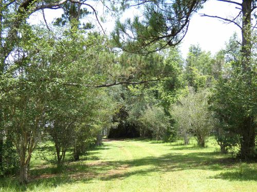 790 Wj Hatchett Road, LAMONT, FL, 32336 | Card Image