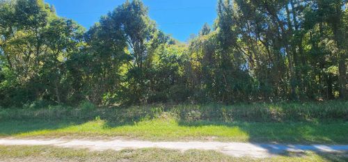 431 Redwood Blvd, Georgetown, FL, 32139-2705 | Card Image