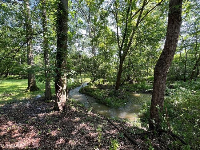 View of back wooded property | Image 25