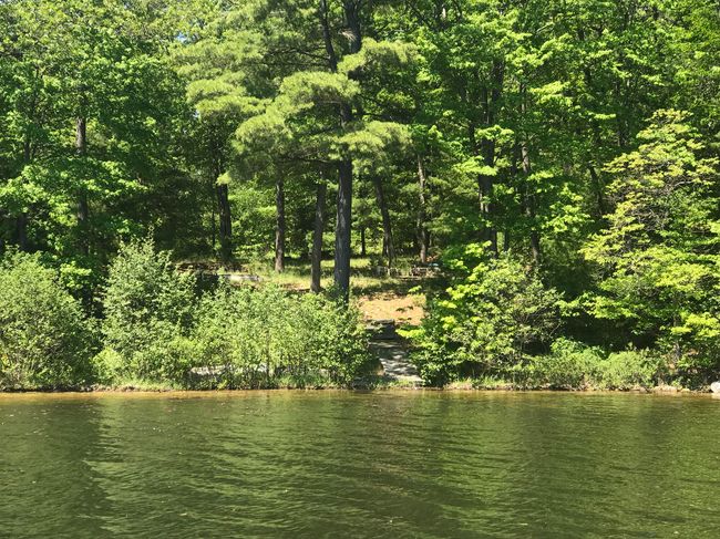 21249 Monroe Rd, Home with 0 bedrooms, 0 bathrooms and null parking in Morley MI | Image 6