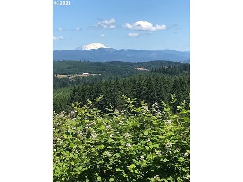 00 Cater Rd, Warren, OR, 97053 | Card Image