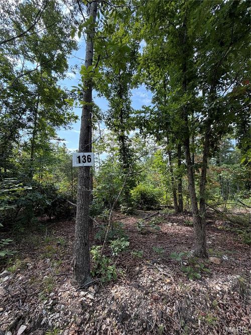 #136 Madison 410, Fredericktown, MO, 63645 | Card Image