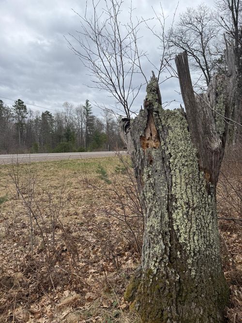 1.91 AC State Highway 70 W, Lac du Flambeau, WI, 54538 | Card Image