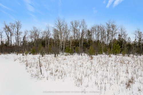 00 Wolf Grove Rd Pt Lt 16 Road, Lanark Highlands, ON, K0G1K0 | Card Image