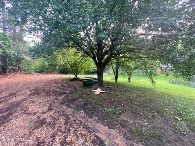Backyard | Image 38