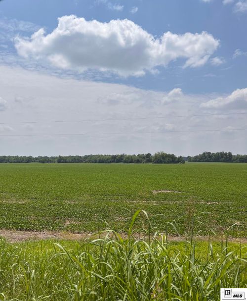 000 Levee Rd, Jonesville, LA, 71343 | Card Image