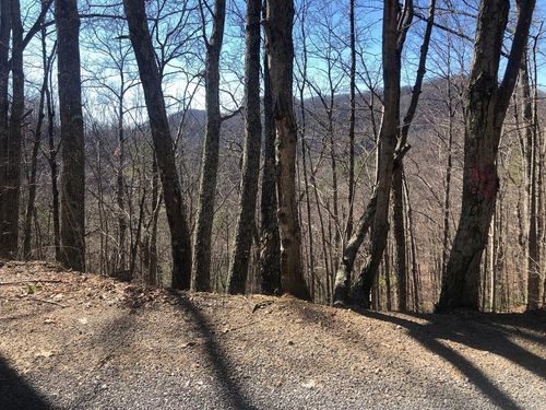 12 John Sevier Dr, Sevierville, TN, 37876 | Card Image
