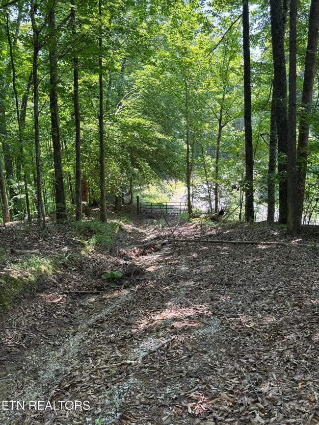 44 Ridgeland Dr, Home with 0 bedrooms, 0 bathrooms and null parking in Sharps Chapel TN | Image 20