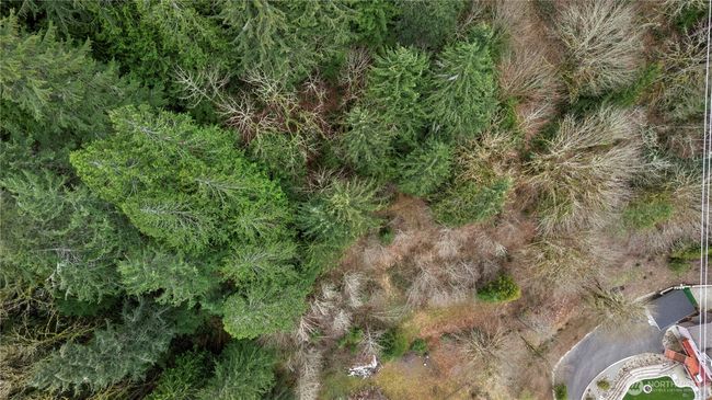 7801 Tolt River Rd Ne, Home with 0 bedrooms, 0 bathrooms and null parking in Carnation WA | Image 11