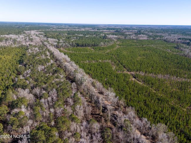 00 Sykes Town Rd, Home with 0 bedrooms, 0 bathrooms and null parking in Currie NC | Image 46