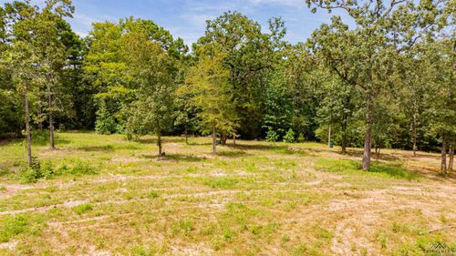 481 Lake Gladewater Rd, Gladewater, TX, 75647-3819 | Card Image