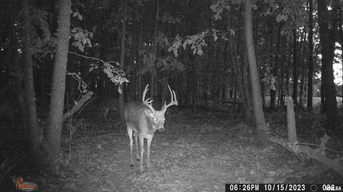 00 W Knob St, Waltonville, IL, 62894 | Card Image