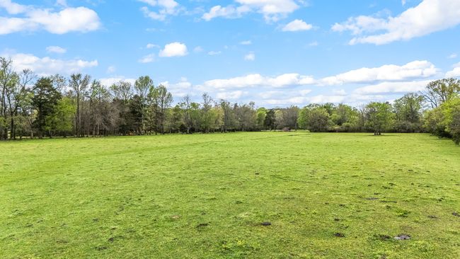 Pasture views. | Image 20