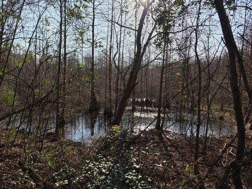 Tbd 7.5 Ac Atomic Rd, Beech Island, SC, 29842 | Card Image