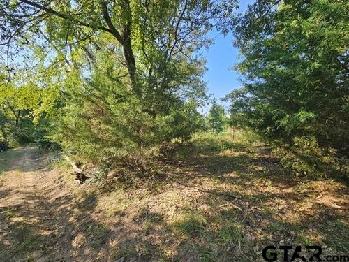 223 An County Road 4250, Palestine, TX, 75803-3678 | Card Image