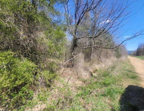 5 acres Diamondback Lane, Hartford, AR, 72938 | Card Image