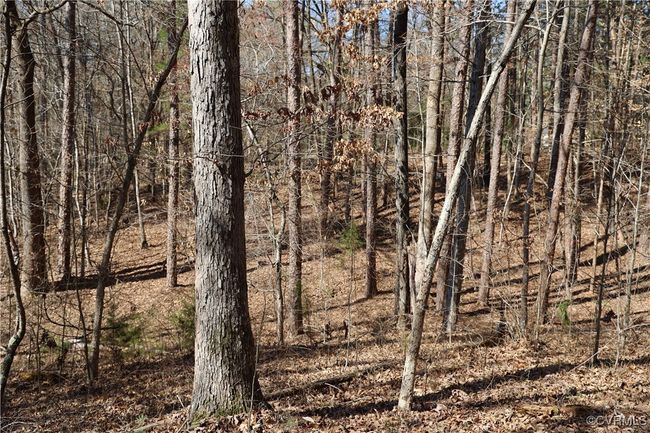 0 Golf Course Rd, Home with 0 bedrooms, 0 bathrooms and null parking in Halifax VA | Image 32