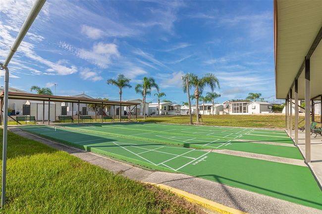 Are you up for a Game of Shuffleboard? | Image 24