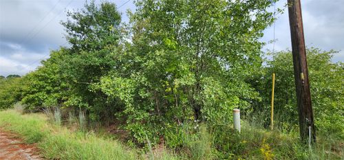 TBD Homonu Ct, Bastrop, TX, 78602 | Card Image