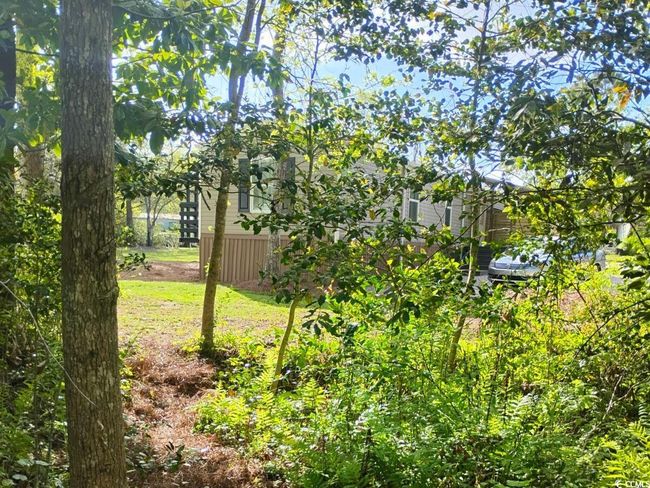 View of yard | Image 27
