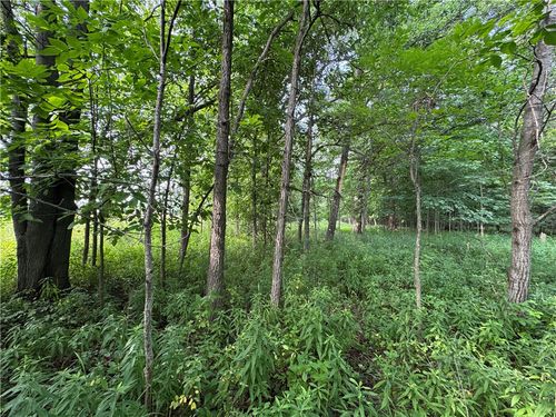 2541 County Highway D, Boyd, WI, 54726-5959 | Card Image