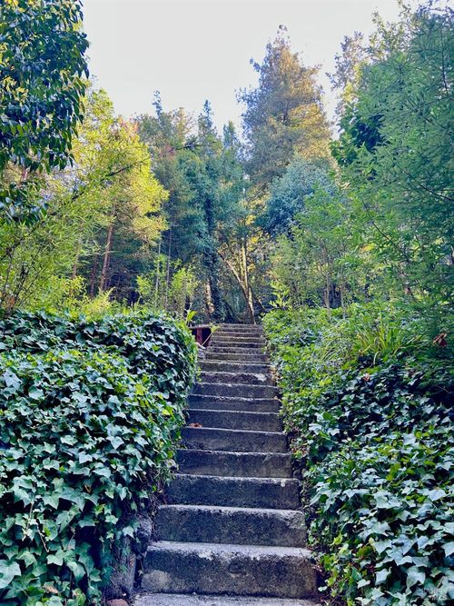 18090 Hwy 116, Guerneville, CA, 95446-9366 | Card Image